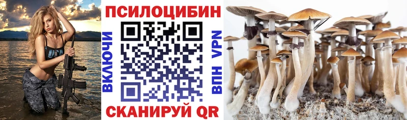как найти   Гаврилов-Ям  Псилоцибиновые грибы Psilocybine cubensis 